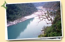 River Tista on the way to Gangtok