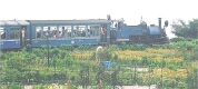 Darjeeling Himlayan Railway an attaraction of Eastern Himalaya
