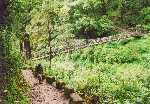 Kalipokhri