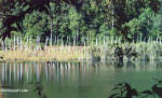 Khecheopalri Lake, West Sikkim