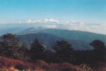 View of Mt.Kanchanjunga from Sandakphu