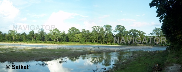 Murti River- Gorumara