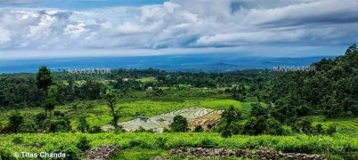 Dooars Valley (Samsing)