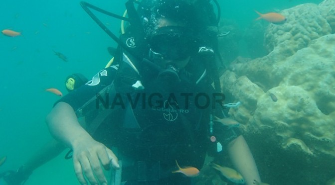 Scuba Diving at North Bay (Coral Island)