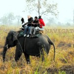 Jaldapara Elephant Safari 150x150 - Best of North Bengal Tour - 7 Days