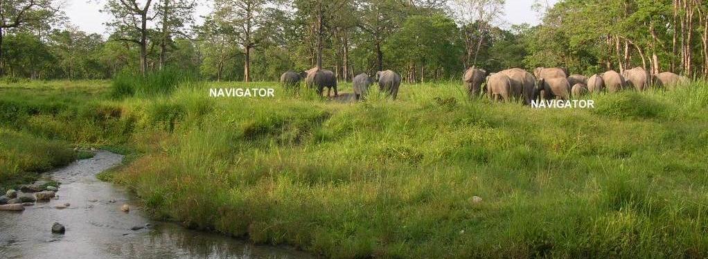 Jaldapara National Park